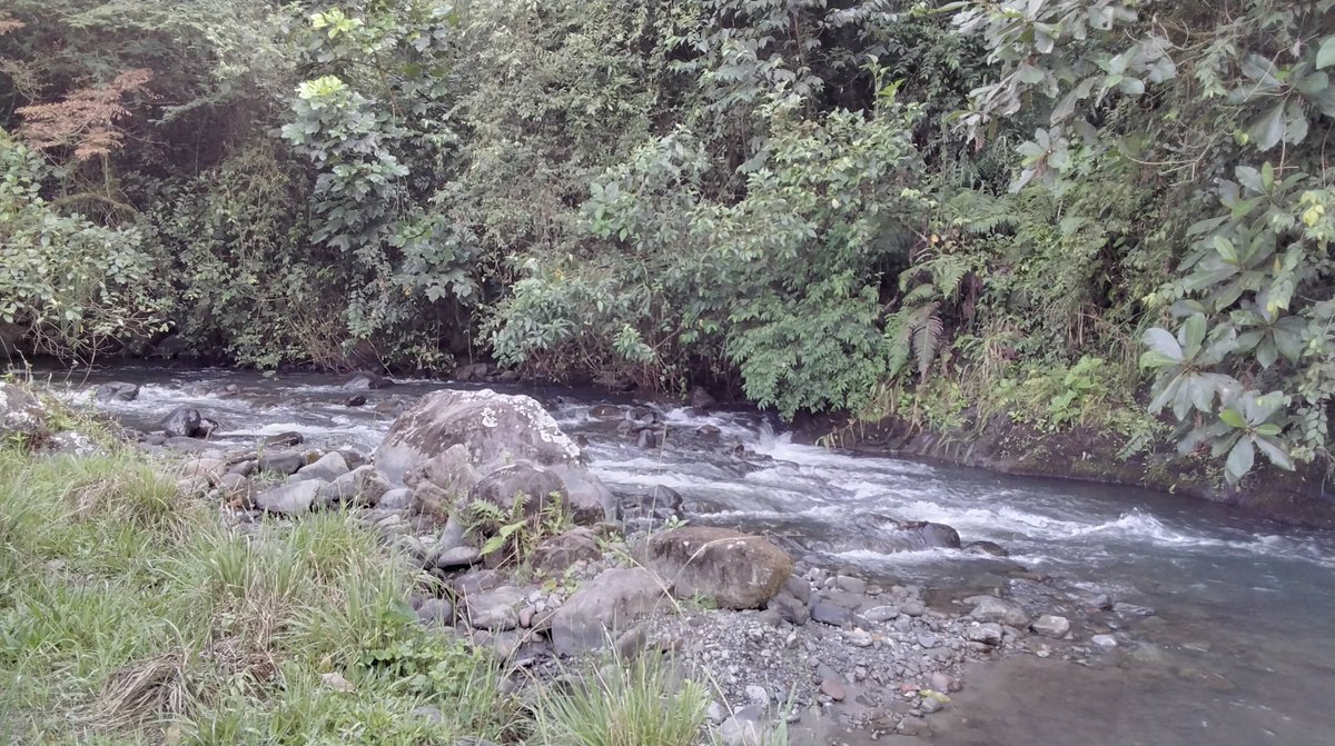 FAOEcuador's tweet photo. 🌳En Pucará, Imbabura se desarrolló la minga comunitaria para habilitar la ruta agroturística en la zona. El Proyecto #PaisajesAndinosEc apoya las acciones que fortalecen la producción sostenible y conservación de los andes ecuatorianos 🌄 https://t.co/A2q1ZtmoZr