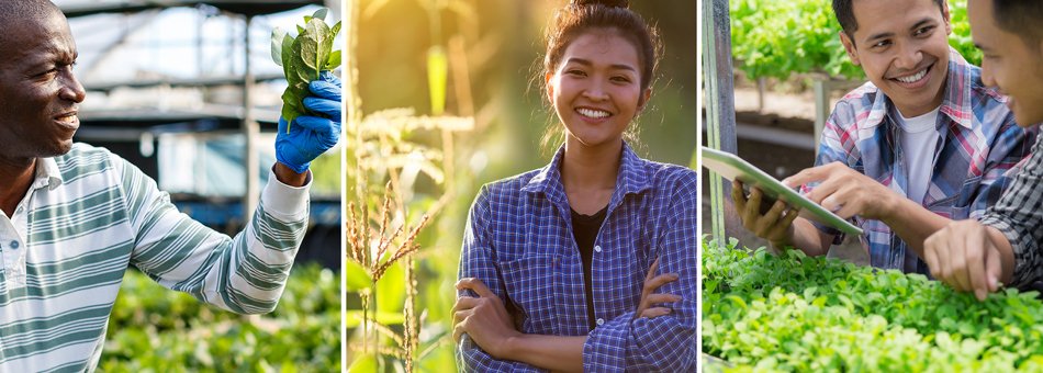 We're accepting applications for two-year terms on our Emerging Farmers Working Group. Applications are due Monday, September 27, 2021, at 11:59 p.m. Central Time. Find a link to the application here: mda.state.mn.us/emerging-farme… #MNAg #emergingfarmers