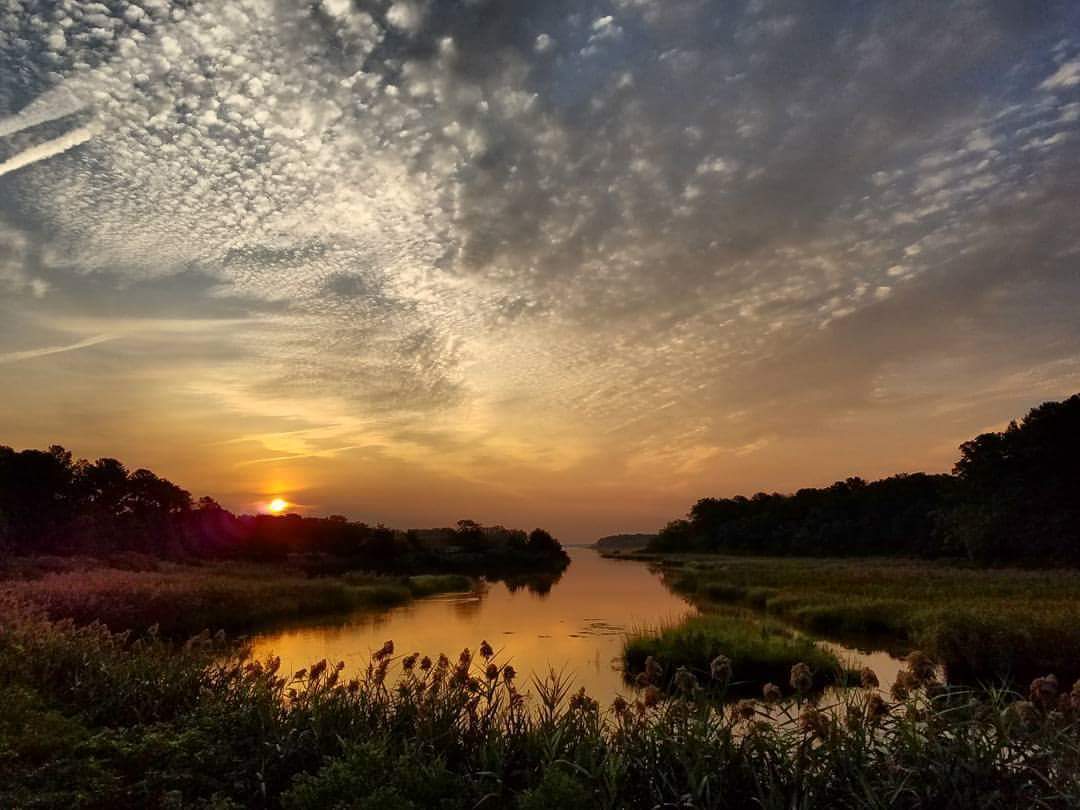 LIRPC_info's tweet photo. Thank you for joining us in the Long Island Nitrogen Action Plan campaign. The quality of our drinking water, rivers and bays depends on the community's efforts. Take the pledge and do your part. #LINAP #LIRPC #PEP #NYSDEC
https://t.co/STFew67Ge4 https://t.co/OEhVDf2fgY
