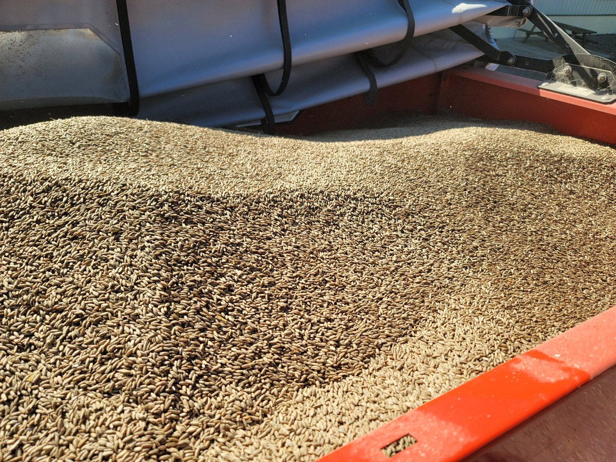 farmerschneck's tweet photo. #interseed #covercrops #ontag https://t.co/UzXf4ZeJ9V
