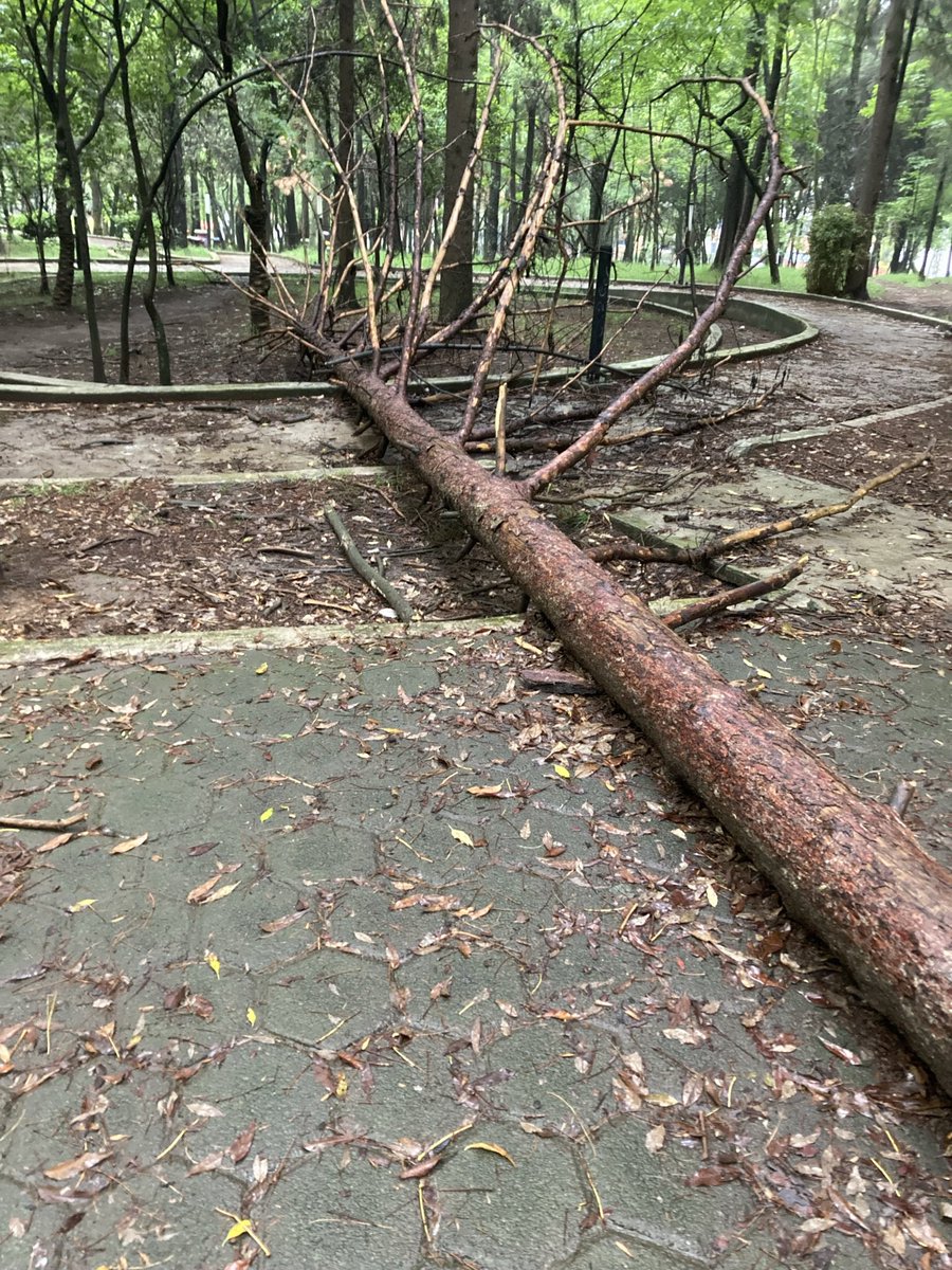 solcolin's tweet photo. @Claudiashein En serio? #SembrandoParques ?? Para nunca dar mantenimiento ?
Sean serios, cada que inauguren algún parque, transporte, etc muestren la proyección sobre mantenimiento y conservación.
@AlcaldiaAO https://t.co/STlcKKx9Xp