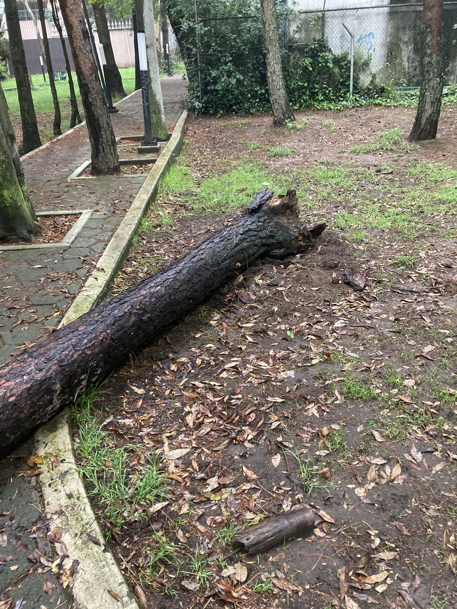 solcolin's tweet photo. @Claudiashein En serio? #SembrandoParques ?? Para nunca dar mantenimiento ?
Sean serios, cada que inauguren algún parque, transporte, etc muestren la proyección sobre mantenimiento y conservación.
@AlcaldiaAO https://t.co/STlcKKx9Xp