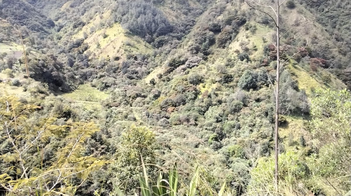 FAOEcuador's tweet photo. Junto al Comité de Turismo de Pucará se realizó la limpieza y restauración de la ruta agroecológica para sensibilizar a la comunidad y visitantes en la conservación y uso sostenible de los recursos de los #PaisajesAndinosEc https://t.co/33R9vmcSBM