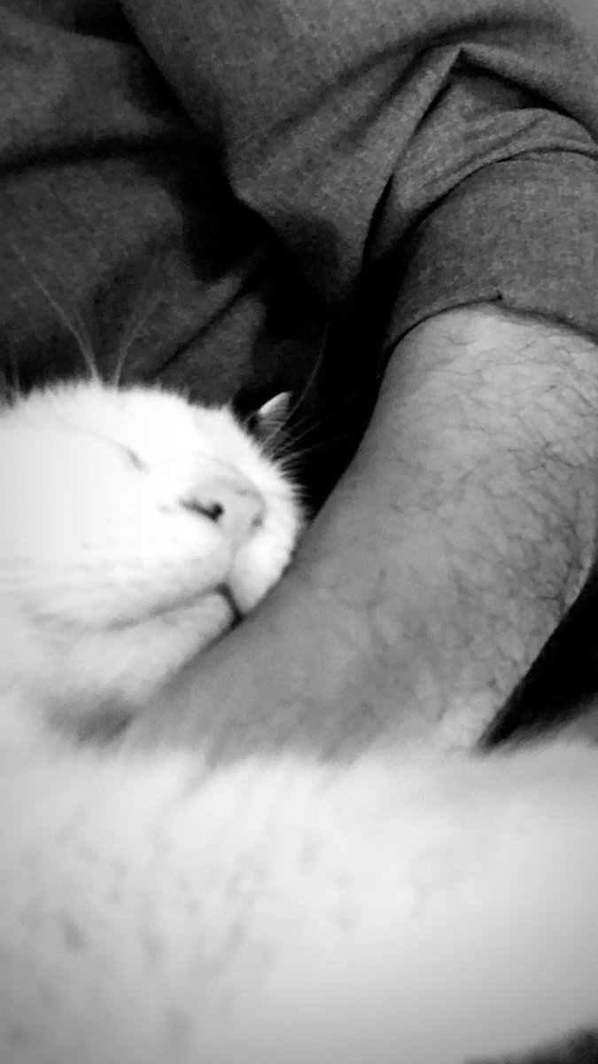 #SeçkinÖzdemir &amp; #Köpük