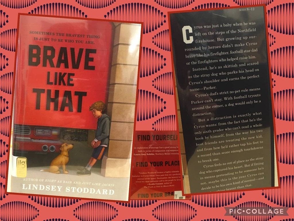 Fall into a good book!
#virtualbrowsing 
#LorisLionsRead 
#hcslibrarymedia instagr.am/p/CTxAMbeAaya/