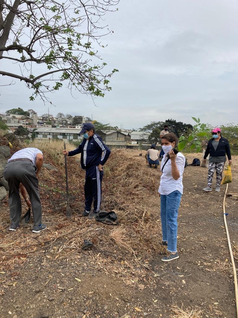 RCGyeOccidente's tweet photo. Siembra de árboles nativos de Guayaquil en el Club Nacional de Guayaquil
Con el apoyo de 11 organizaciones socioambientales y la participación de más de 70 personas, sembramos más de 100 árboles de pechiche, guayacán, roble, mango, aguacate y limón.
#rotary #ecuador #distrito4400 https://t.co/l577VjqVBS