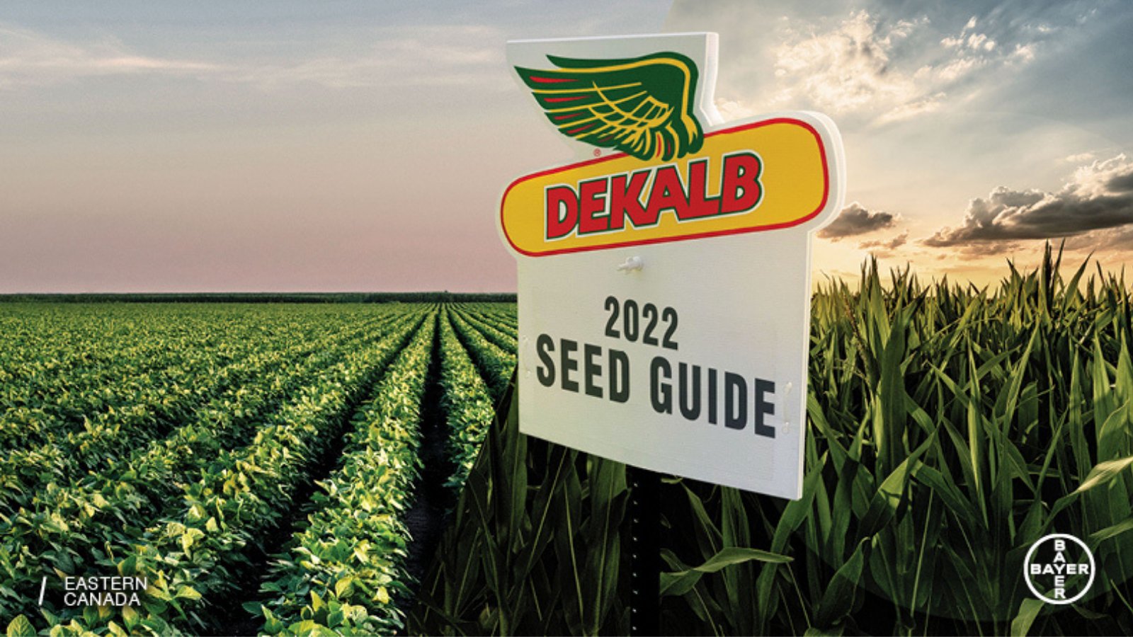 DEKALB Canada on Twitter "The 2022 DEKALB Seed Guide is here and available for download. Use