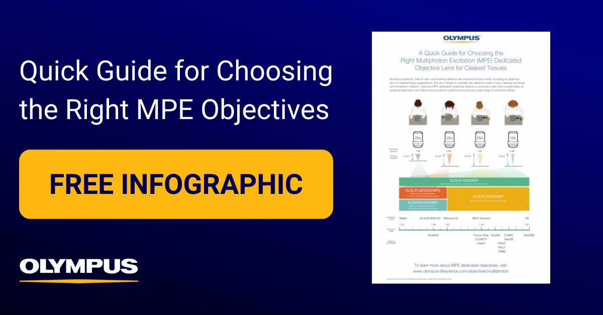 #INFOGRAPHIC - Olympus MPE dedicated objectives are designed with various features to ensure optimum performance across a wide range of refractive indices. Learn how to choose the right MPE #objective for your #research - https://t.co/Qk7kz7ZBwJ https://t.co/qlKLe52cwl