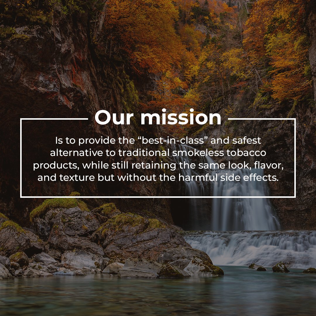 After years of perfecting our formulation, we’re excited to share with our fellow ”dippers” a product that packs well and provides hours of endless flavor, even more so than traditional smokeless tobacco.

What do you have to lose?…. Give Schmitty’s a shot!