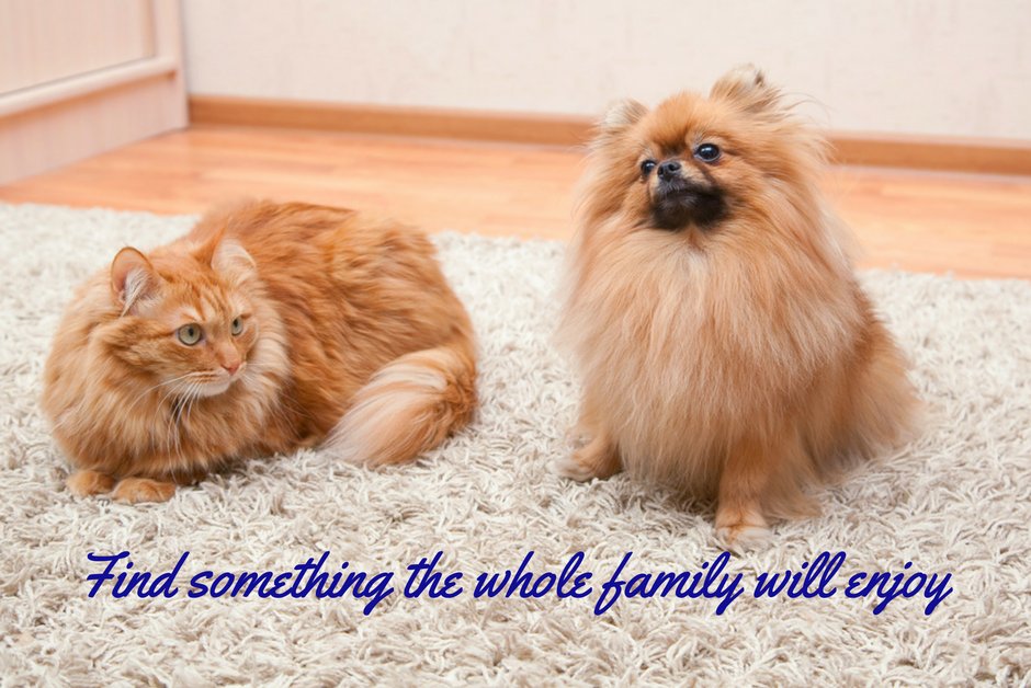 We have pet friendly options! Take a look in store or on our website to find the best solution for you and your pet! thecarpetstop.co.uk/store/
