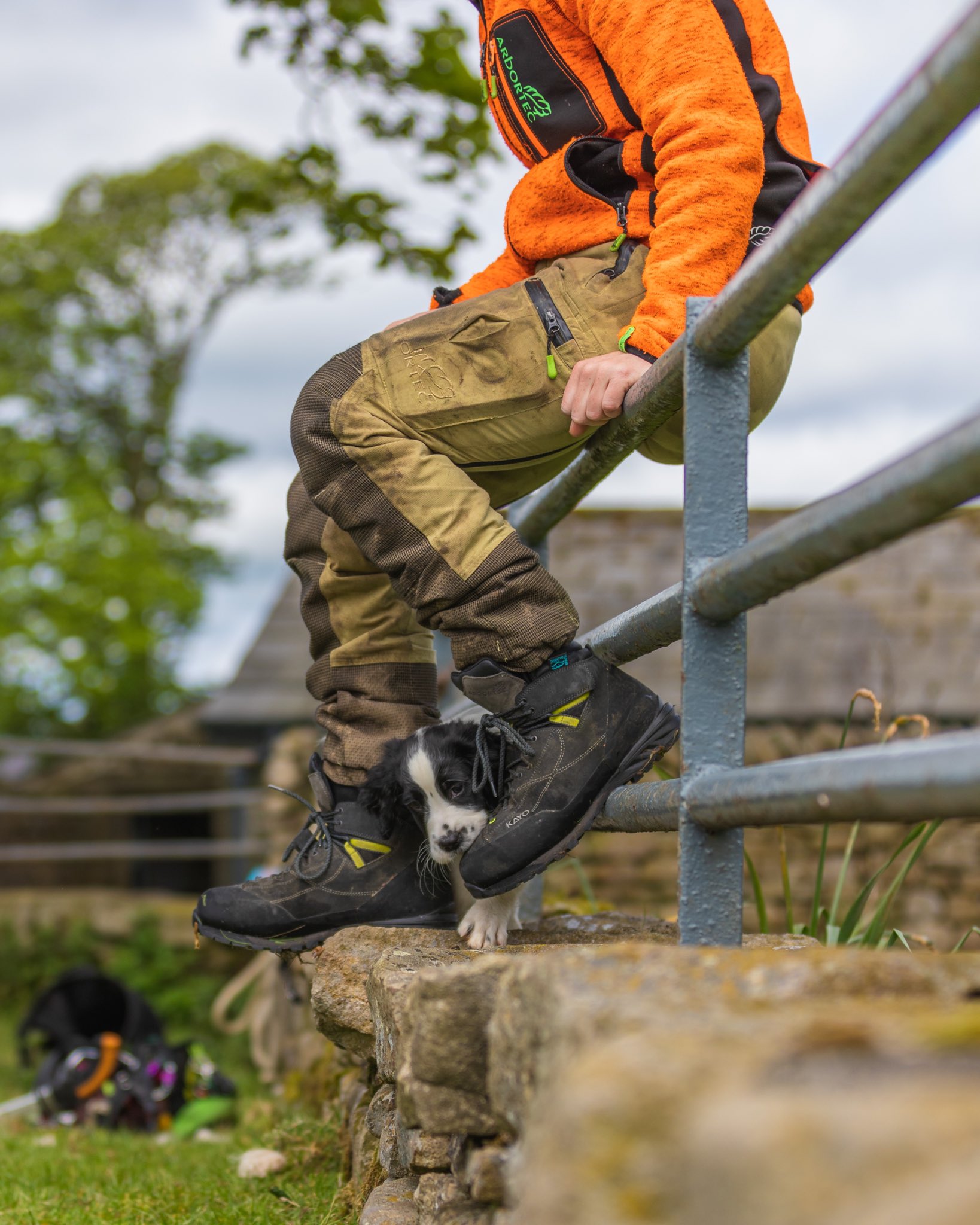 Arbortec Forestwear on X Okay just one more shot of puppy Twig with the Kayo boots because he s just so bloody cute. And the boots aren t too bad either https t y9xGZkTqUR