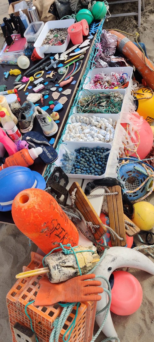 Aäron Fabrice de Kisangani 🧜♂️ tweet media