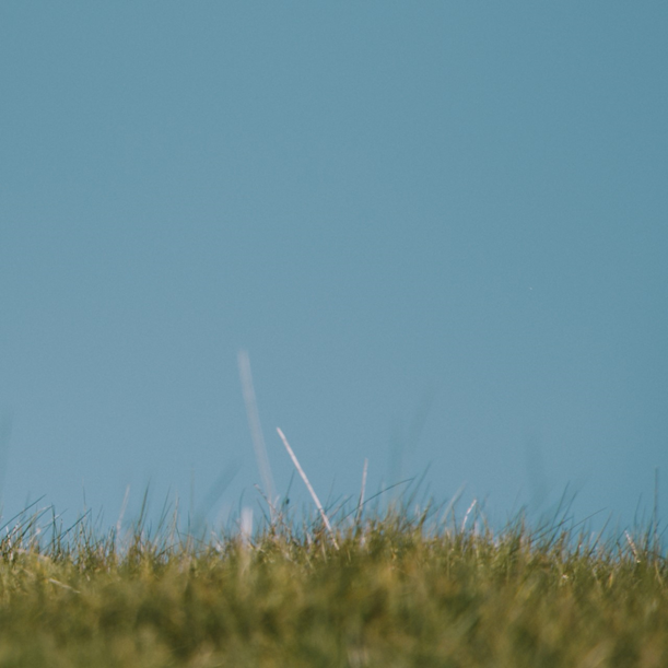 Our new single ‘Tube Screamer’ will be released this Friday 17th Sept on Jarr'ed Up Records 💿
 
Come celebrate with us on Friday 24th Sept at 
<a href="/RecordJunkee/">Record Junkee</a>  with @nervouspills_ &amp;  <a href="/Teeff_Music/">Teeff</a>!
 
TICKETS 👉 skiddle.com/.../Jarred-Up-…

Thanks again for your support x