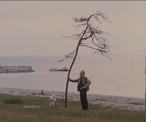 These days remind me of #TheSacrifice, #Tarkovsky's last movie. 
Deep down I feel I'm like the little man. My father also planted the tree of hope inside me before he passed away.
I will water it every day and someday it will come back to life.