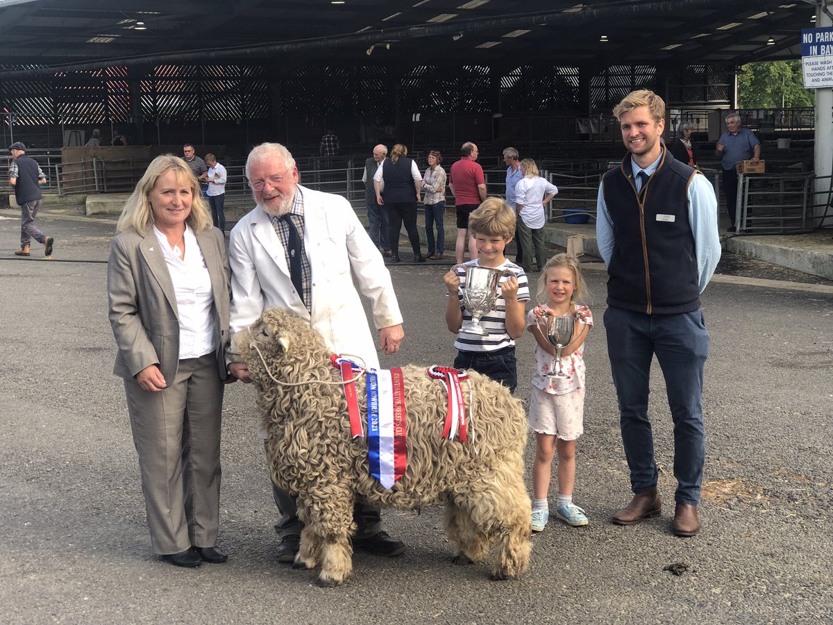 Our group chair <a href="/rare_breeds/">Raskelf Rare Breeds</a> had the honour of judging the Interbreed sheep championship <a href="/MeltonLivestock/">Melton Livestock</a> rare &amp;native breeds sale this weekend ,this fabulous Greyface Dartmoor ram took home the trophy and went on to fetch one of the top prices <a href="/RBSTrarebreeds/">RBST</a>
