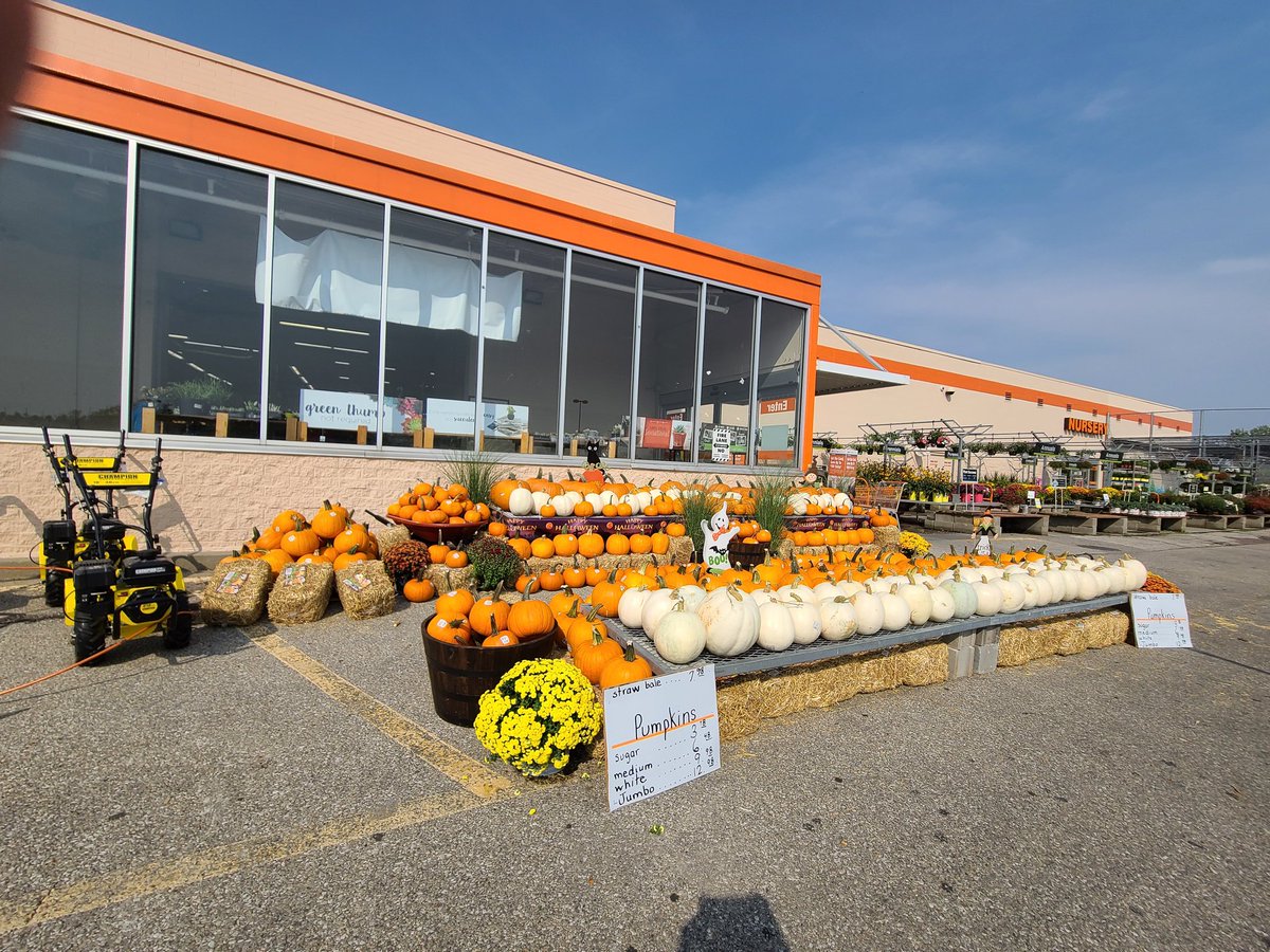 Pumpkins are ready to go thanks to @tashakoe and crew #TheHomeDepot <a href="/HomeDepot/">The Home Depot</a> <a href="/aberg2121/">Andy Berglund</a> <a href="/jordanolsen0288/">Jordan Olsen</a>