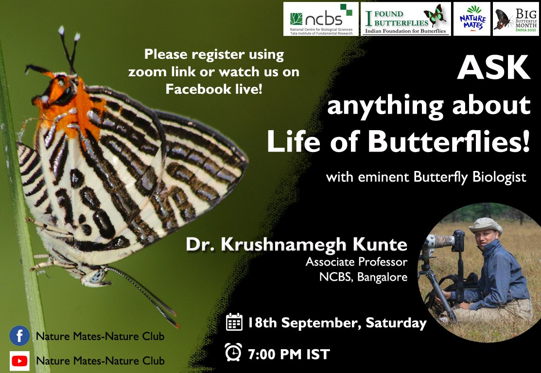 Join us on 18.09.2021 from 7:00 P.M. IST onwards to Ask anything about Life of Butterflies to eminent butterfly biologist @krushnamegh. Register using the zoom link bit.ly/3hMvclh