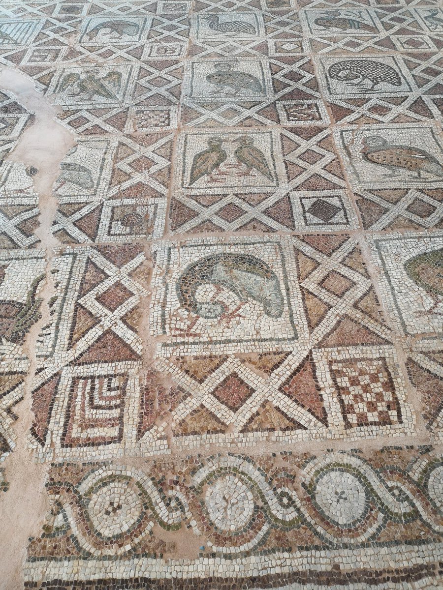 BelchoinBG's tweet photo. A fragment of a #MosaicMonday from an early Christian Bishops church - the Great Basilica in the Roman city of #PHILIPPOLIS, today's Plovdiv city #Bulgaria https://t.co/A0qlLtpOpc
