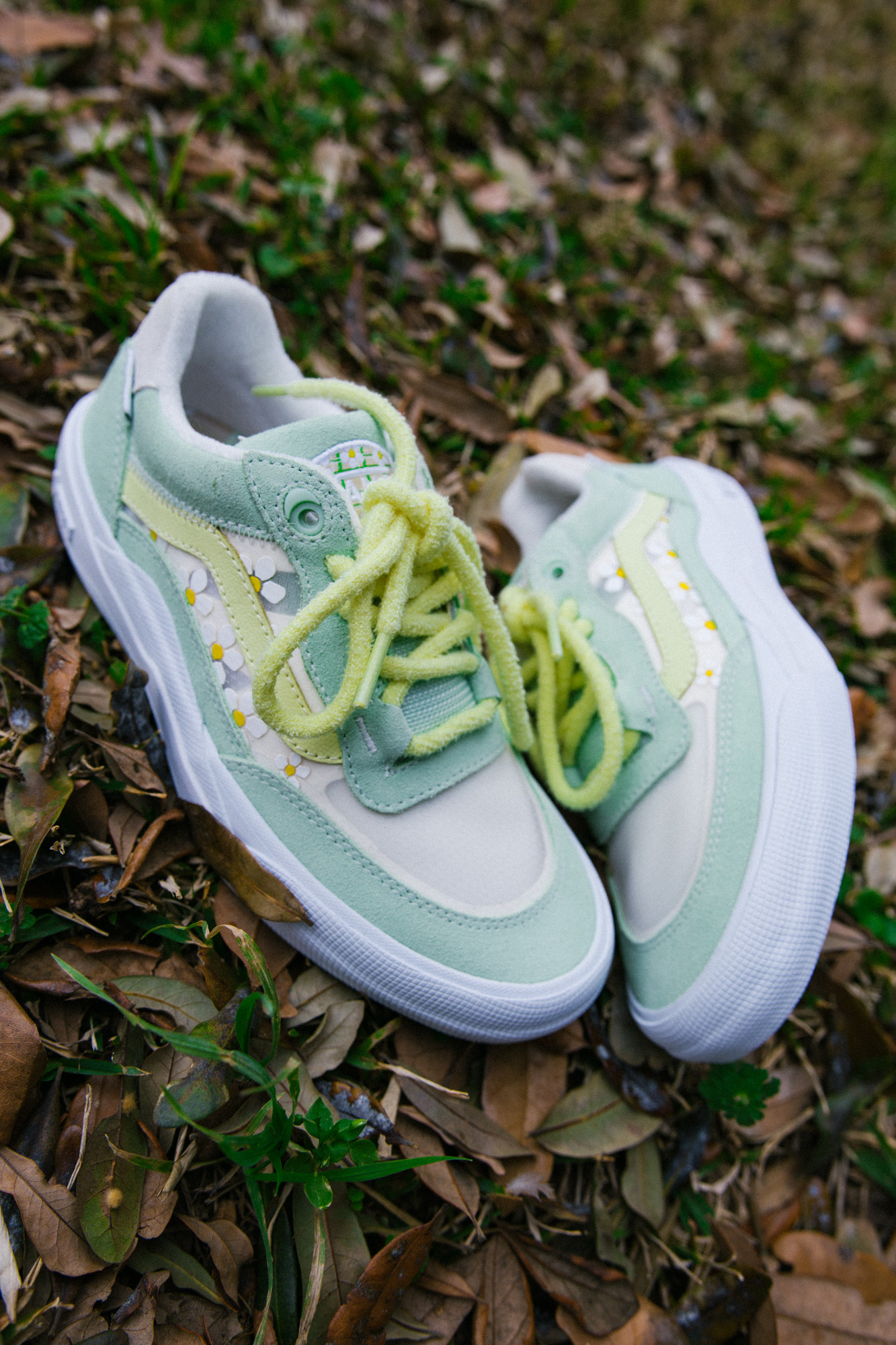 Blue daisy clearance vans