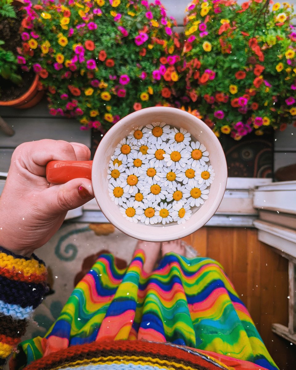 We’re thrilled to hear you’re as excited as we are about our upcoming filter +pack with <a href="/amyflyingakite/">amy nelson 🌼</a> 🦋😍 #AColorStoryFlora launches…(drumroll, please)… this Friday!! 🎉 Let the countdown begin. #AColorStory