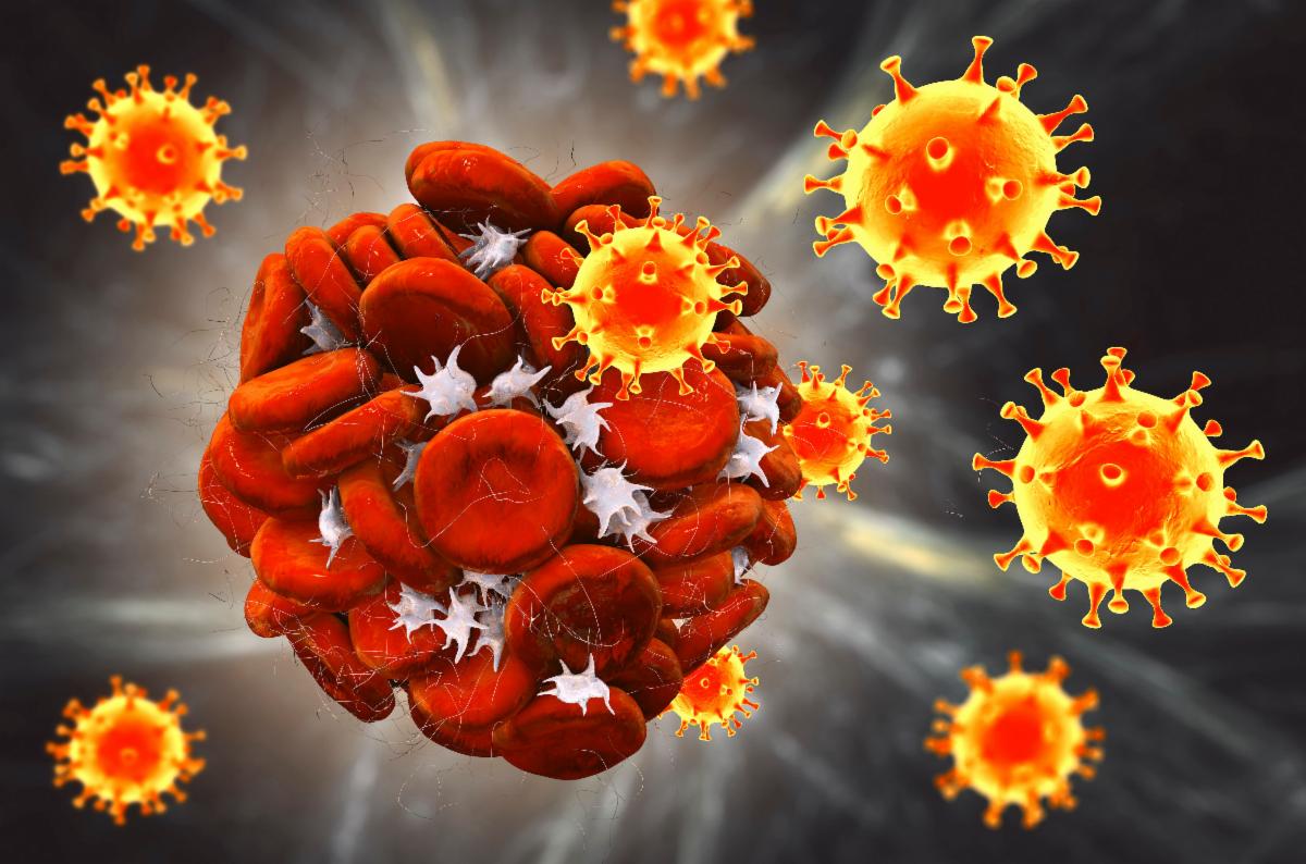 GKBioMed's tweet photo. https://t.co/LBWdRo3frJ  #hypercoagulation #covidandcoagulation #coagulation https://t.co/5UA7j9VFPy