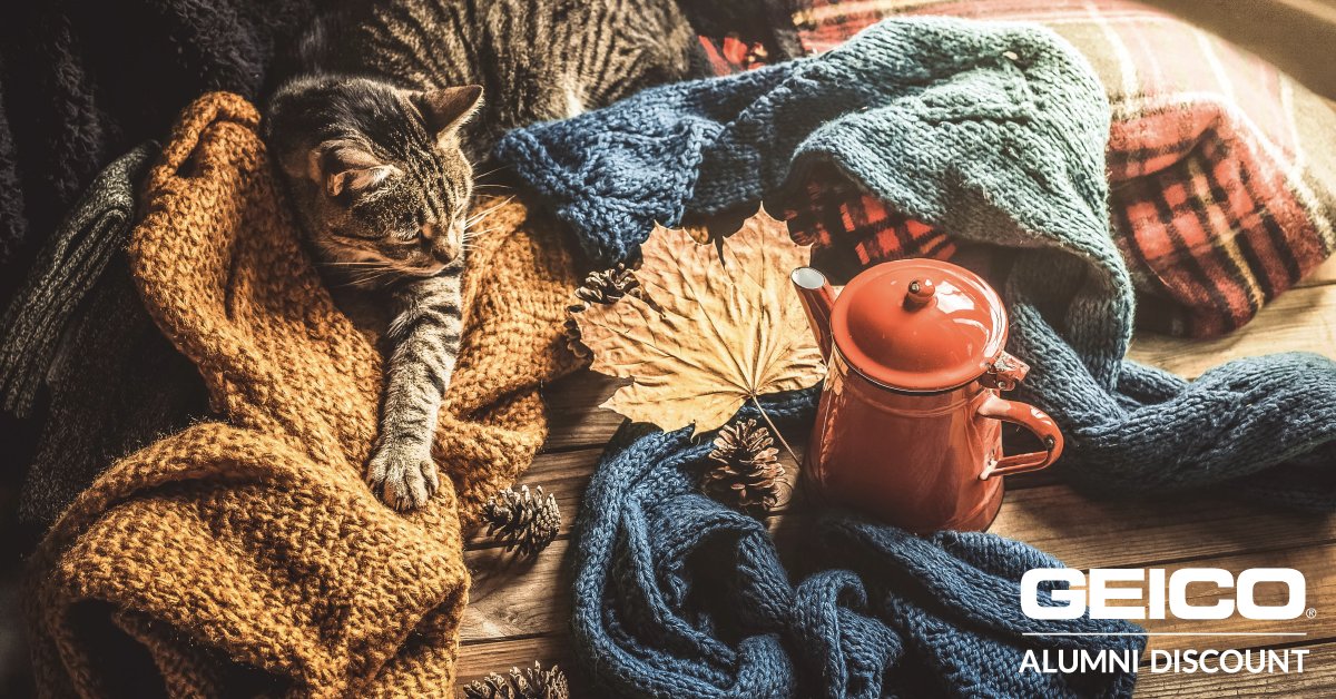 Hey Matadors! Temperatures are dropping. Your insurance rate could too! Click the link here to see how much you could save with a special #CSUN alumni discount. #csunalumni #gomatadors #csun #csungeico geico.com/landingpage/me…