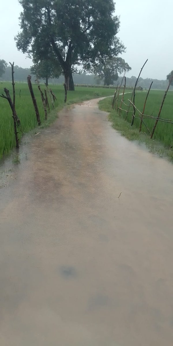 SINGHASHU01's tweet photo. मुख्यमंत्री जी द्वारा राजस्व ग्राम प्राप्त बाढ़ पीड़ित वनटांगिया 24 में लेखपाल व ग्राम प्रधान के लापरवाही के कारण अभी तक नही पहुँचा राहत सामग्री प्रशासन ने किया अनदेखा
@CdoMaharajganj @myogiadityanath @DmMaharajganj https://t.co/S43Nqq03nI