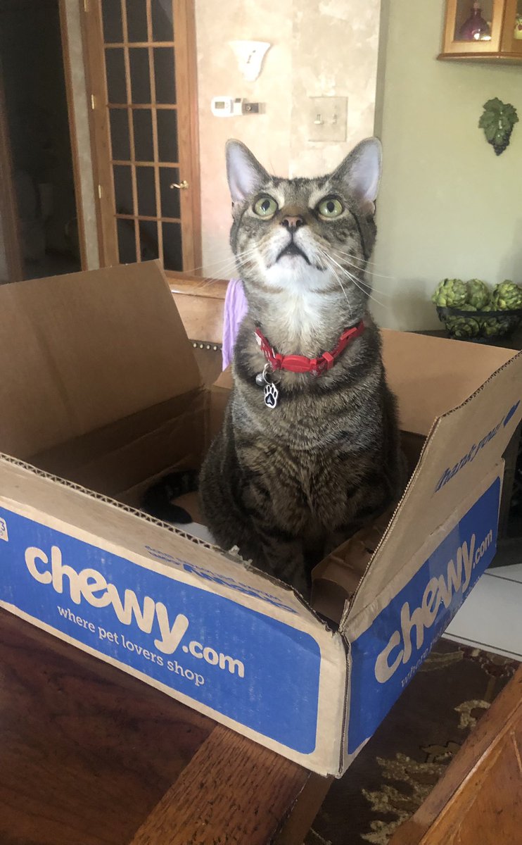 Toby Talwar tweet media