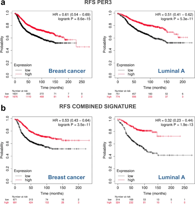 heniek_htw's tweet photo. 🌇 Circadian Clock & Breast Cancer
➡️ Our data on this combined germline and somatic genetic analysis of associations between the #PER3 polymorphism & breast cancer suggest that the long repeat PER3VNTR allele may influence breast cancer at two different levels.
#breastcancer https://t.co/kpT6WVPrQF