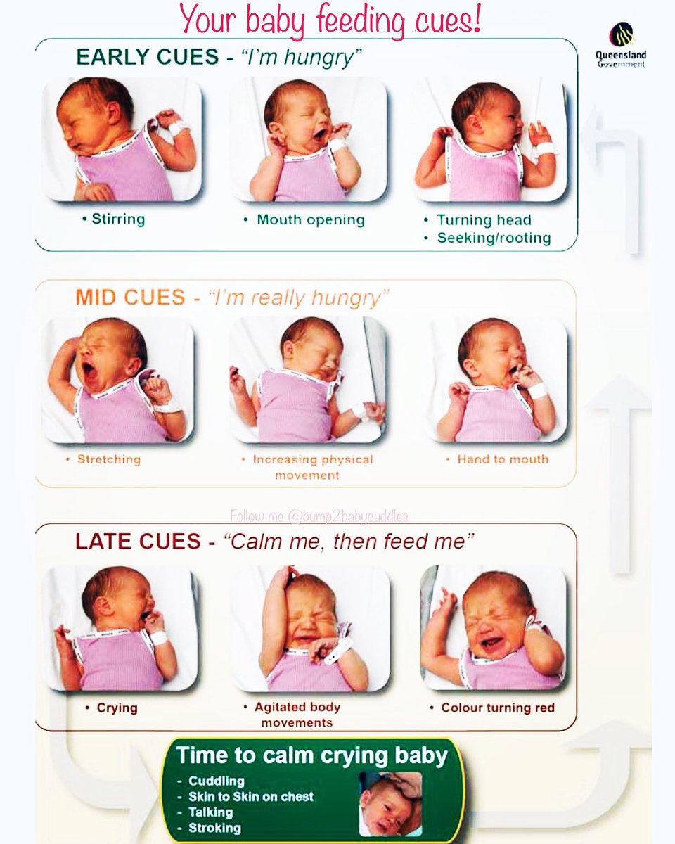 Recognize the signs and don’t let your baby go “HANGRY”. 😬 #babyfeeding #breastfeeding #newmom #BreastfeedingMom #newmomlife #newmomtips #dadlife #momlife #feedbaby #nursingmom #newborncare #babycare #expectantmom #babyfood #baby #babygirl #babyboy #infantcare
