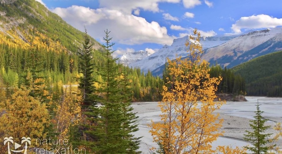 AnneScottlin's tweet photo. 🎧🎼 Enchanting Autumn 
(😌listening now)
Relaxing Music and Nature Video🎥
↩:Link
https://t.co/4M53OBkwyw https://t.co/SJUmI5PliM