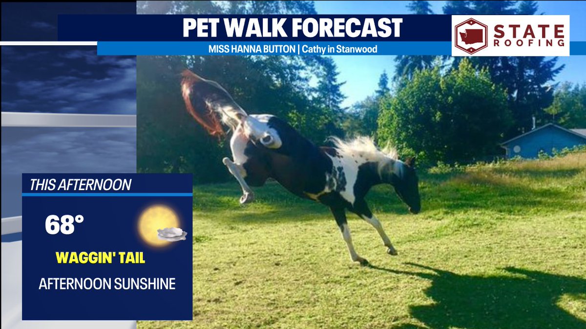 M.J. McDermott tweet media