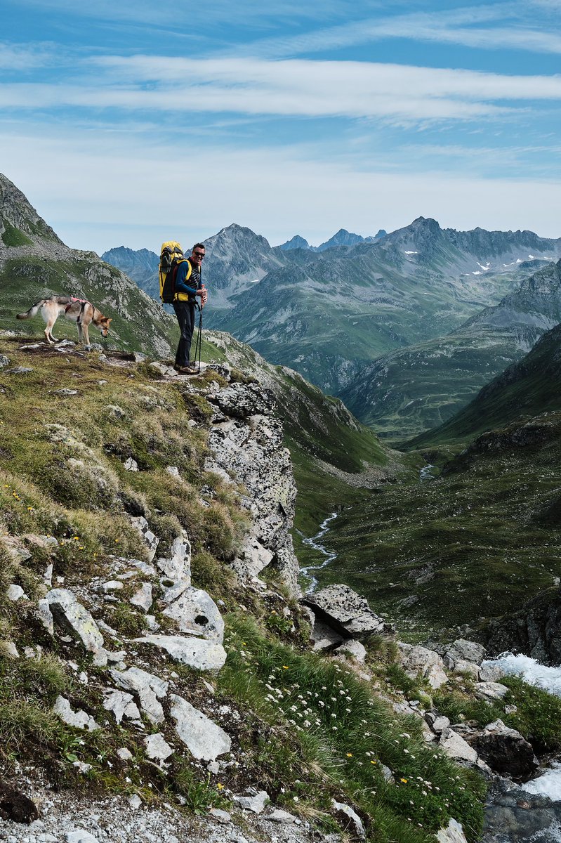 joepvanos tweet media