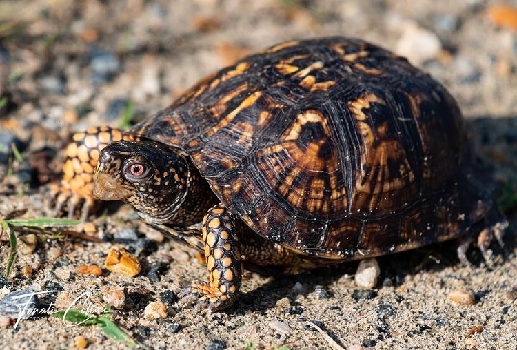 Cara Maré tweet media