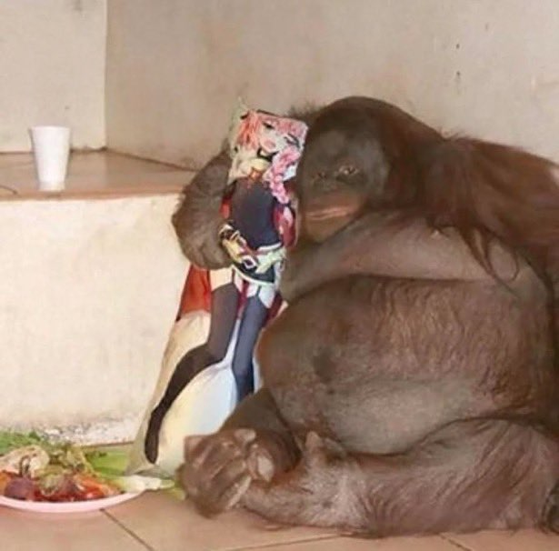 twitch.tv/dottrevv CLICK NOW!