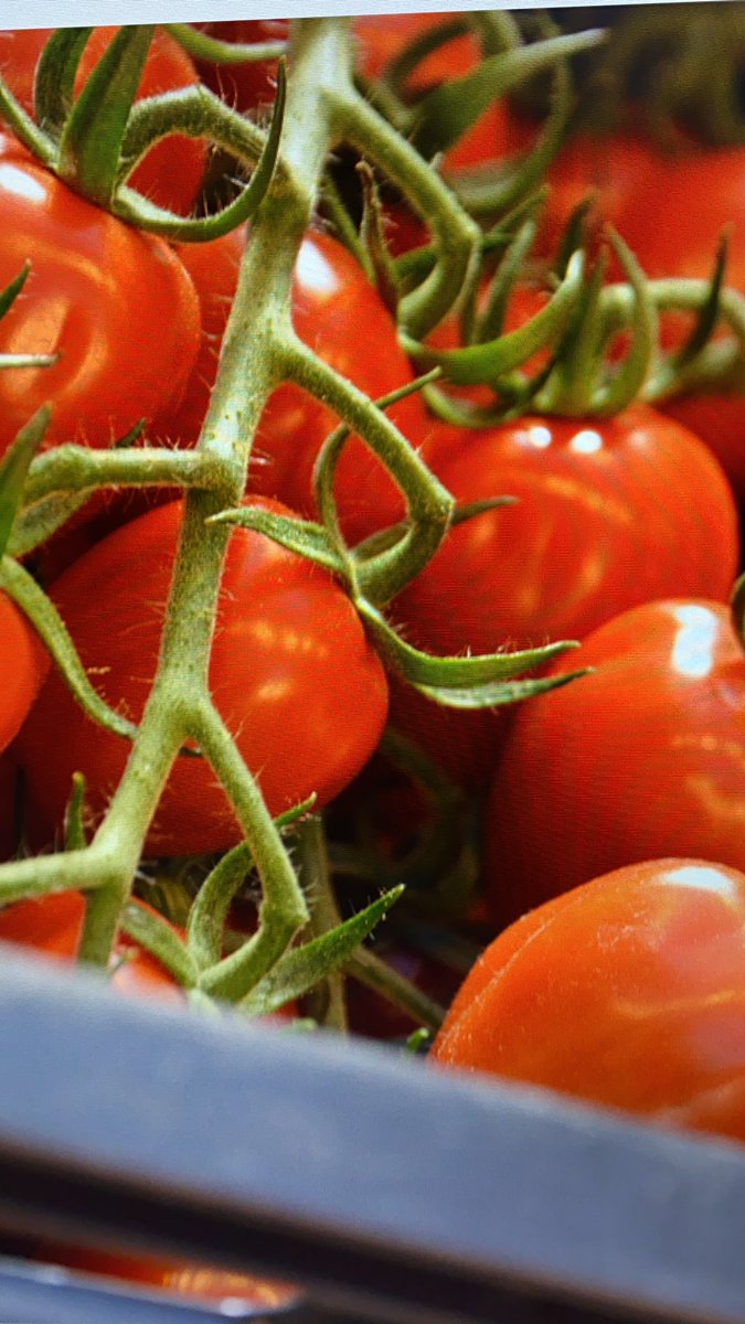 Op 30 september is onze eerste live ledenbijeenkomst sinds 1,5 jaar. En het belooft een mooi programma te worden in het nieuwe pand van  Growers United. Kijk op onze site voor aanmelding.