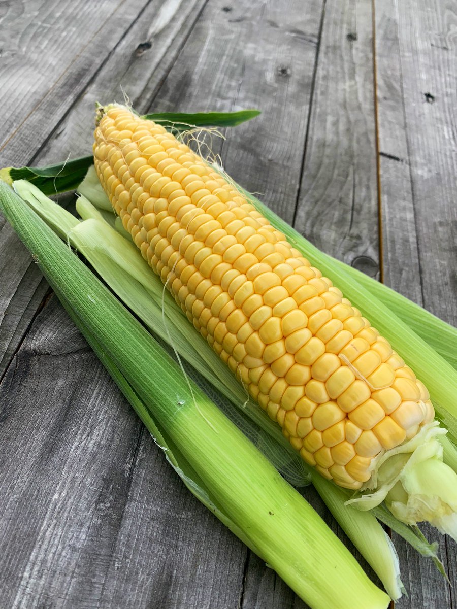 My first corn of the year! Not a good growing season but just as excited to try this corn with a little salted butter 👌🏻