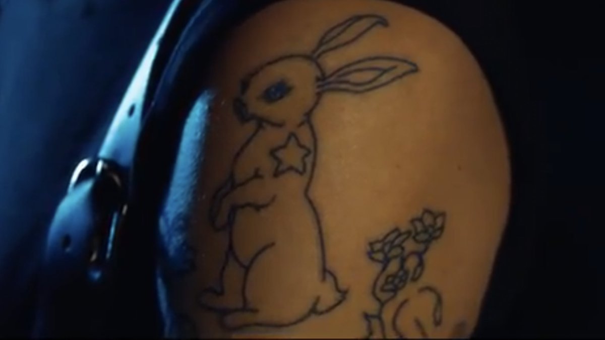 TheJohnEgan's tweet photo. @ICPBunny @dfinity @toniqlabs @ICPSwap @plug_wallet @BobBodily Follow the bright rabbit @dfinity. #AtomicEntropy #BlockChainSingularity https://t.co/nIlIJ8PGZE