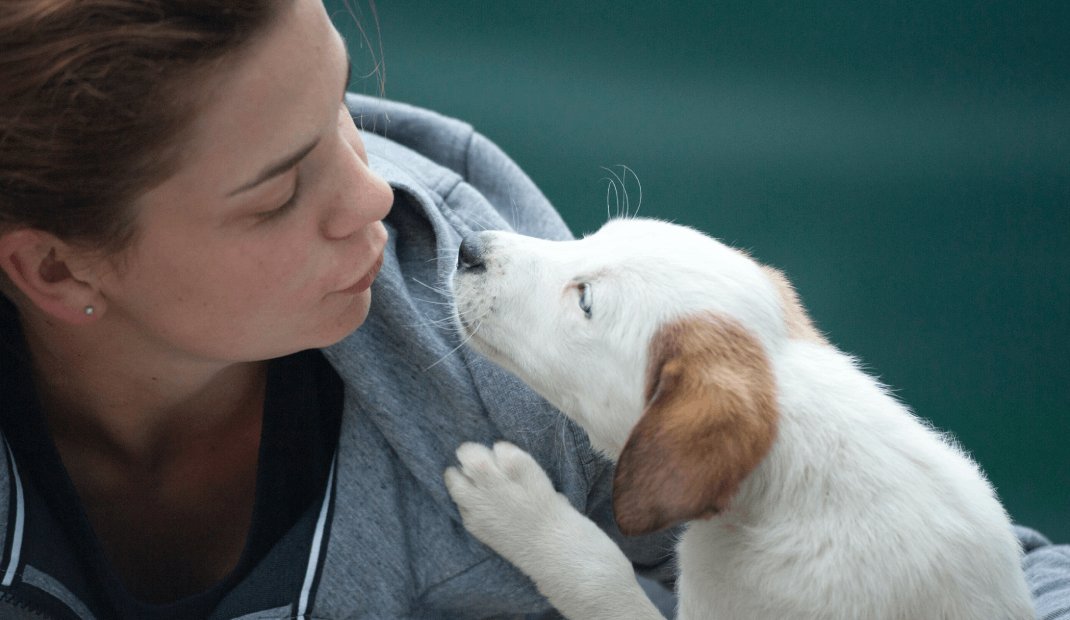 ColumbiaAlumniA's tweet photo. Featured alumni benefit: Columbia alumni are eligible for affordable pet health coverage from @Nationwide, covering preventive care to significant medical incidents, for all kinds of pets. Learn more:  https://t.co/H6Sgf9Qdkf https://t.co/8c2aO4yHSc