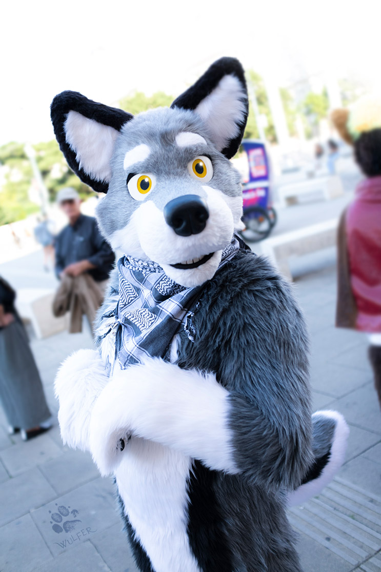 wulferthewolf's tweet photo. Hello you!
*wags*
Pic by: @Karakina
thank you so much!
#wolf #vienna #wien #suitwalk
#wulfer #furry #Austria #paw https://t.co/fndwUEw5XM