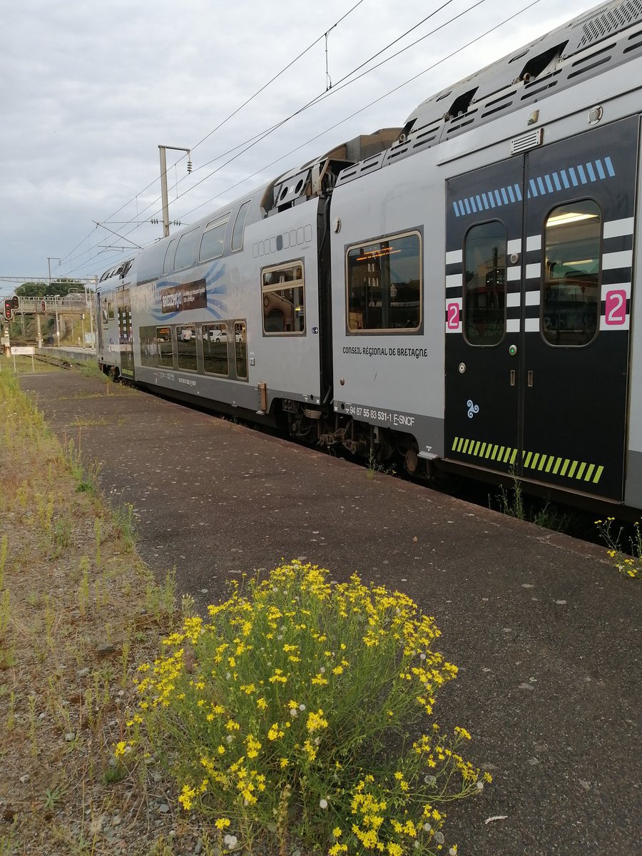 Bloqués depuis deux heures en gare de Lamballe à cause d'un colis abandonné ☹️ #garederennes