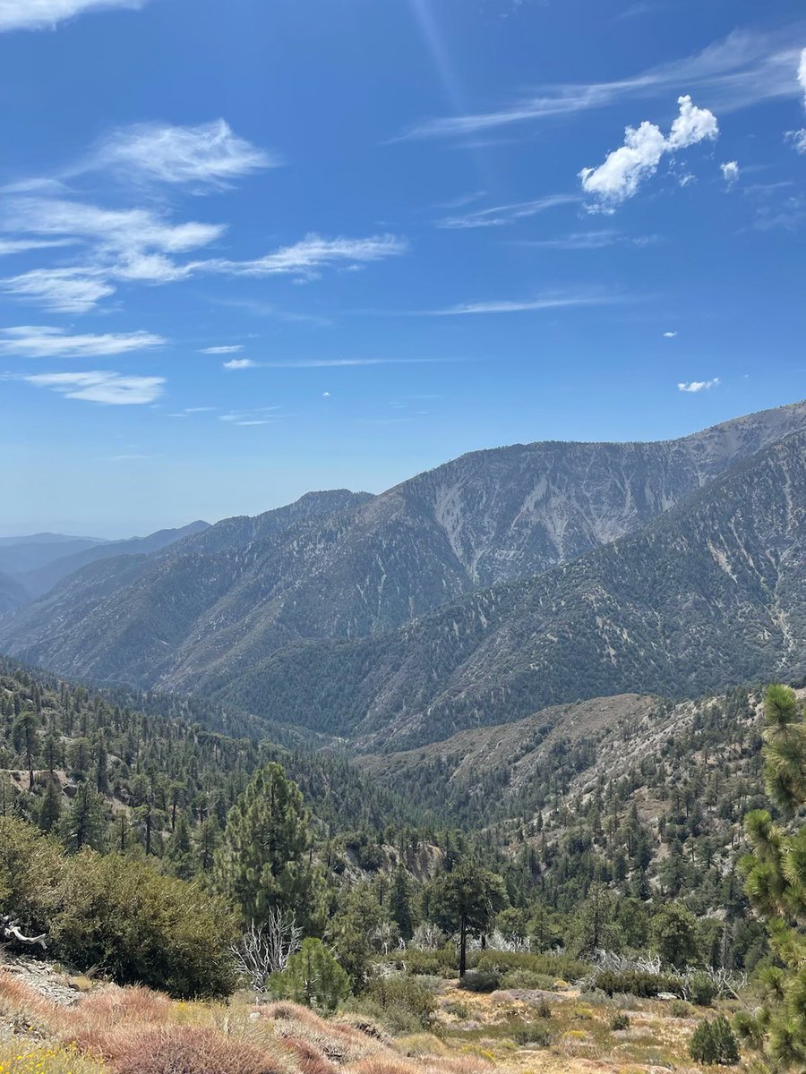 The #BobcatFire started a little less than a year ago on September 6th. A year later, we are starting to see significant regrowth in the fire’s footprint. This is a testament to the resiliency of the land and why we place closure orders after a fire to assist in regrowth.