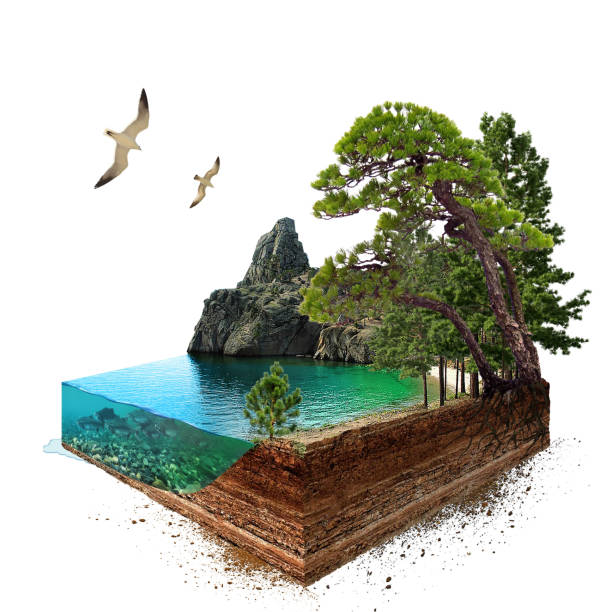 EarthAssets's tweet photo. After 10,000 owners we will stop selling, its time for you to sell, right??? Retweet and reply here for free NFT giveaway  #NFTGiveaway #NFT #NFTGiveaways @earth2io https://t.co/dUX1Yq0yIQ