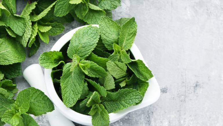 Sparklefreshnes's tweet image. Did you know that Mint is a versatile herb that has many different uses? These small leaves are more than just flavorful. It heals all your stomach woes Mint leaves are anti-inflammatory in nature which helps in reducing any inflammation in your stomach. #SparkleFreshness