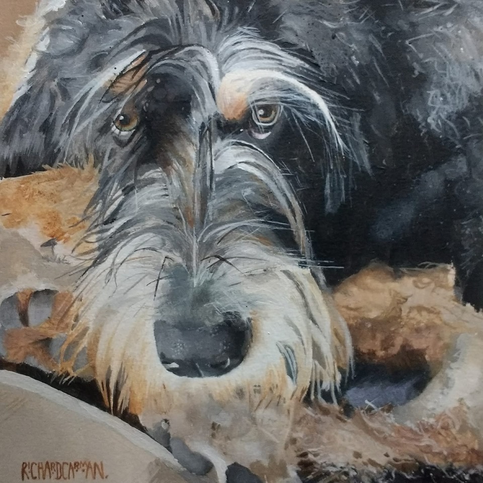 SpamAyres's tweet photo. Alfred, an otterhound painted in acrylics. Hope you like!
https://t.co/Cw6NTcYtVd
@DogsofInstagram #dogs #dogsoftwitter #otterhounds #dogsofinstagram #MondayVibes #MondayMotivation https://t.co/ghbN5oPg6o