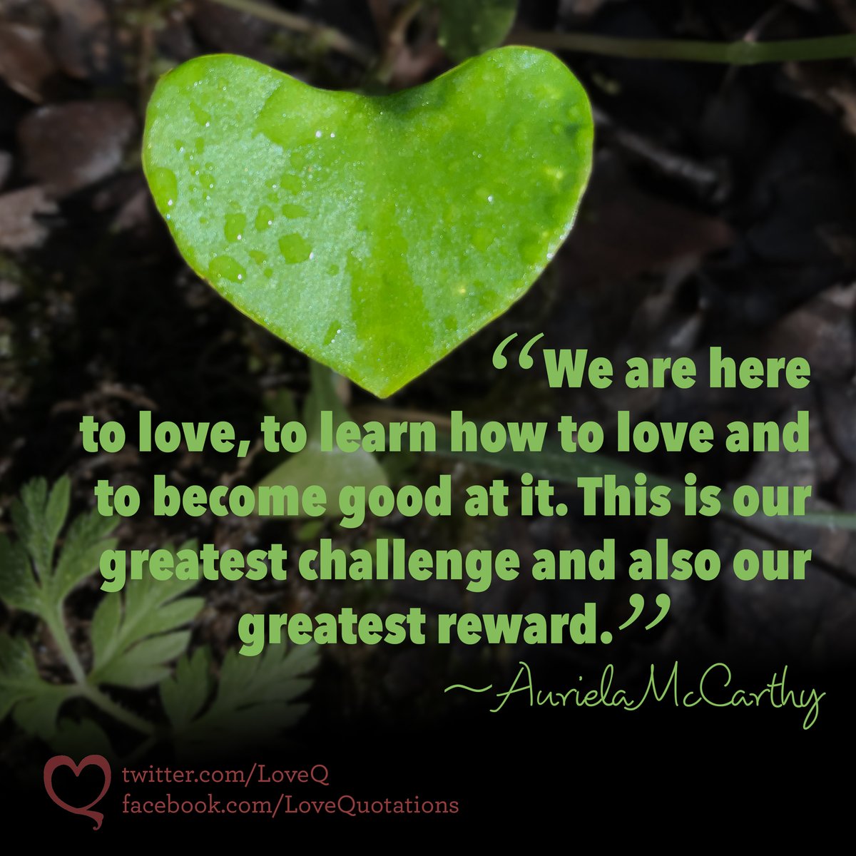 Love Quotes tweet media