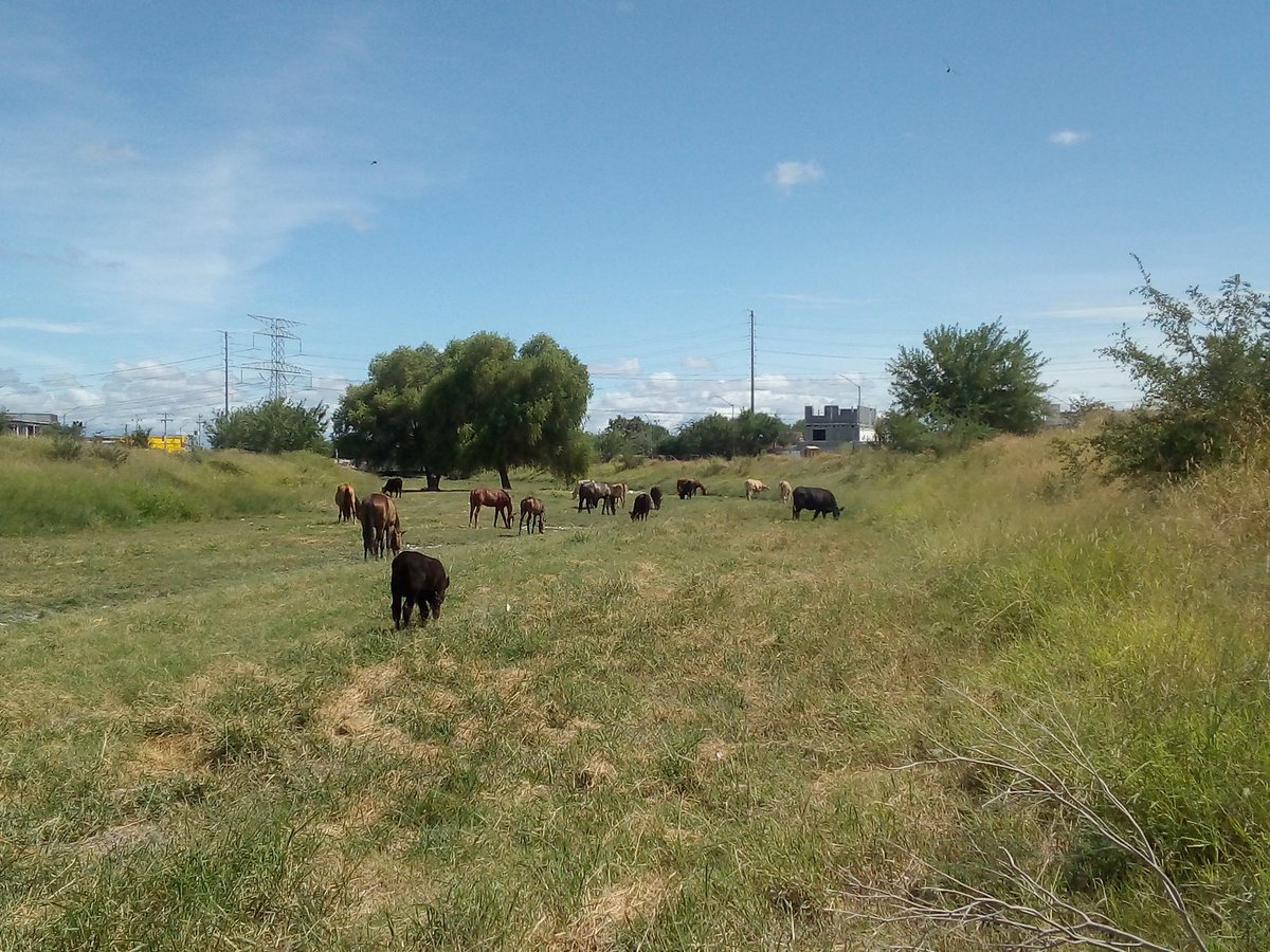 De esas veces que te das cuenta, vives un poquito alejado del Área Metropolitano 😅