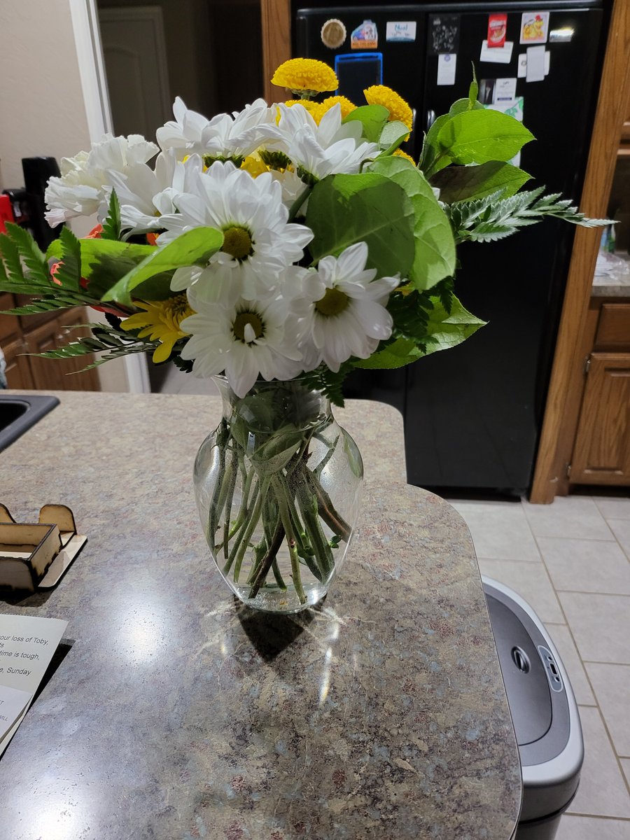 waybright's tweet photo. Toby passed on Friday and not only did @Chewy refund his medicine without question they also sent flowers. https://t.co/xyeIFpFBOH