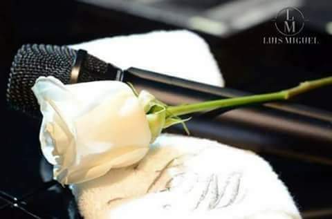 nuestrosol's tweet photo. #DiaDeLuisMiguelEnLasVegas
®LM Nuestro Sol
@LMXLM #LuisMiguel https://t.co/qVHWgqBncw