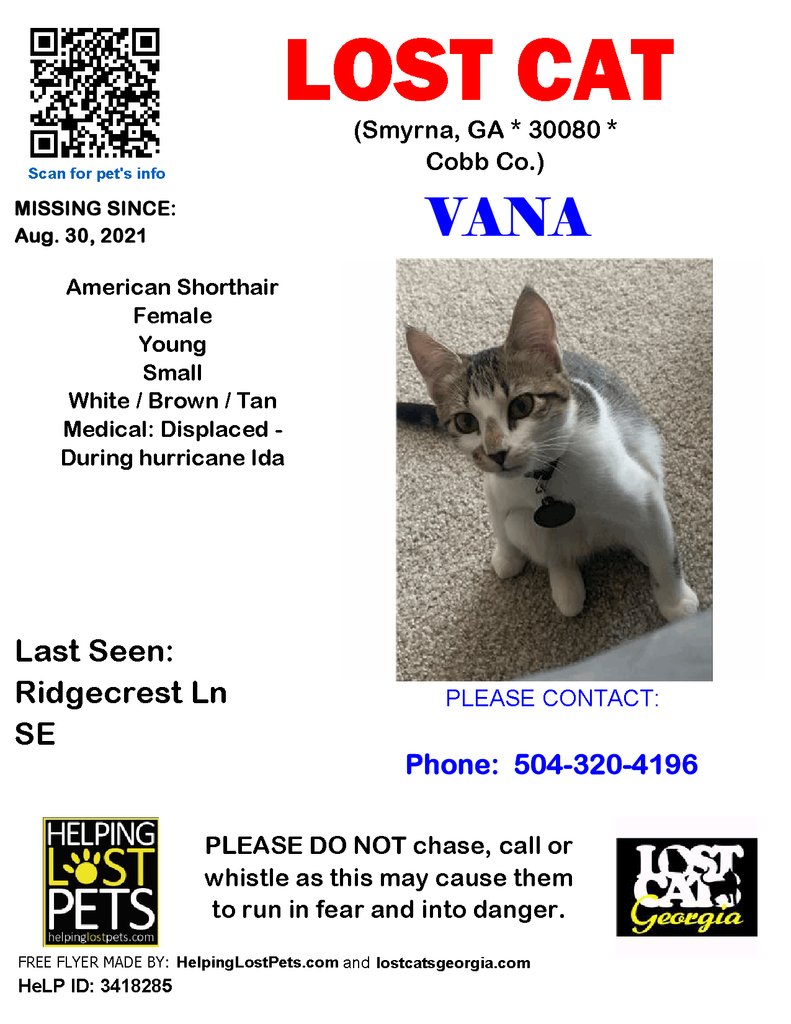 LostCatsGA's tweet photo. **FACEBOOK LINK https://t.co/gOXSP6ouVd
* #DISPLACED - DURING HURRICANE IDA
Lost Cat - Smyrna, GA - Aug.30, 2021
Closest Intersection: Ridgecrest Ln SE, Smyrna, Cobb County, GA, US, 30080.
County: Cobb

#LOSTCAT #Vana #Smyrna (Ridgecrest Ln SE, Smyrna, Cobb County, GA, US, 3008… https://t.co/VyQ908zZ1s
